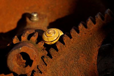 Close-up of snail on machine part