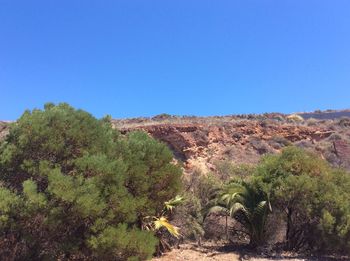 Scenic view of landscape against clear blue sky