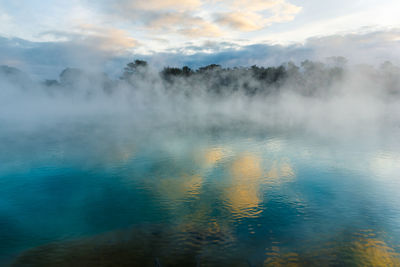 Kuirau park, rotorua - geothermal area in central rotorua