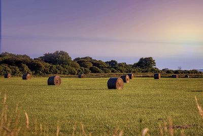 Hay bales on field against sky