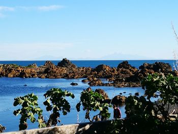 Scenic view of sea against clear blue sky