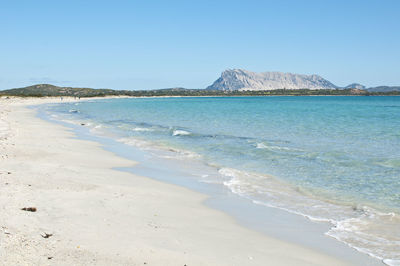 Scenic view of beach against clear blue sky