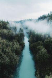 High angle view of river in forest against sky