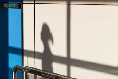 Shadow of person on window