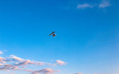 Low angle view of airplane flying against blue sky