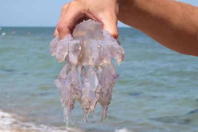 Midsection of person holding sea shore