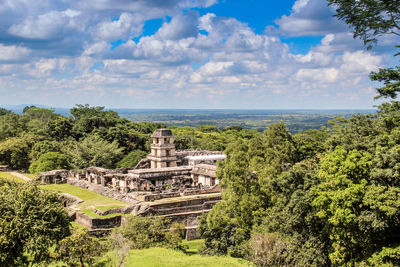 View of plants against cloudy sky