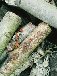 Close-up of peeled wall