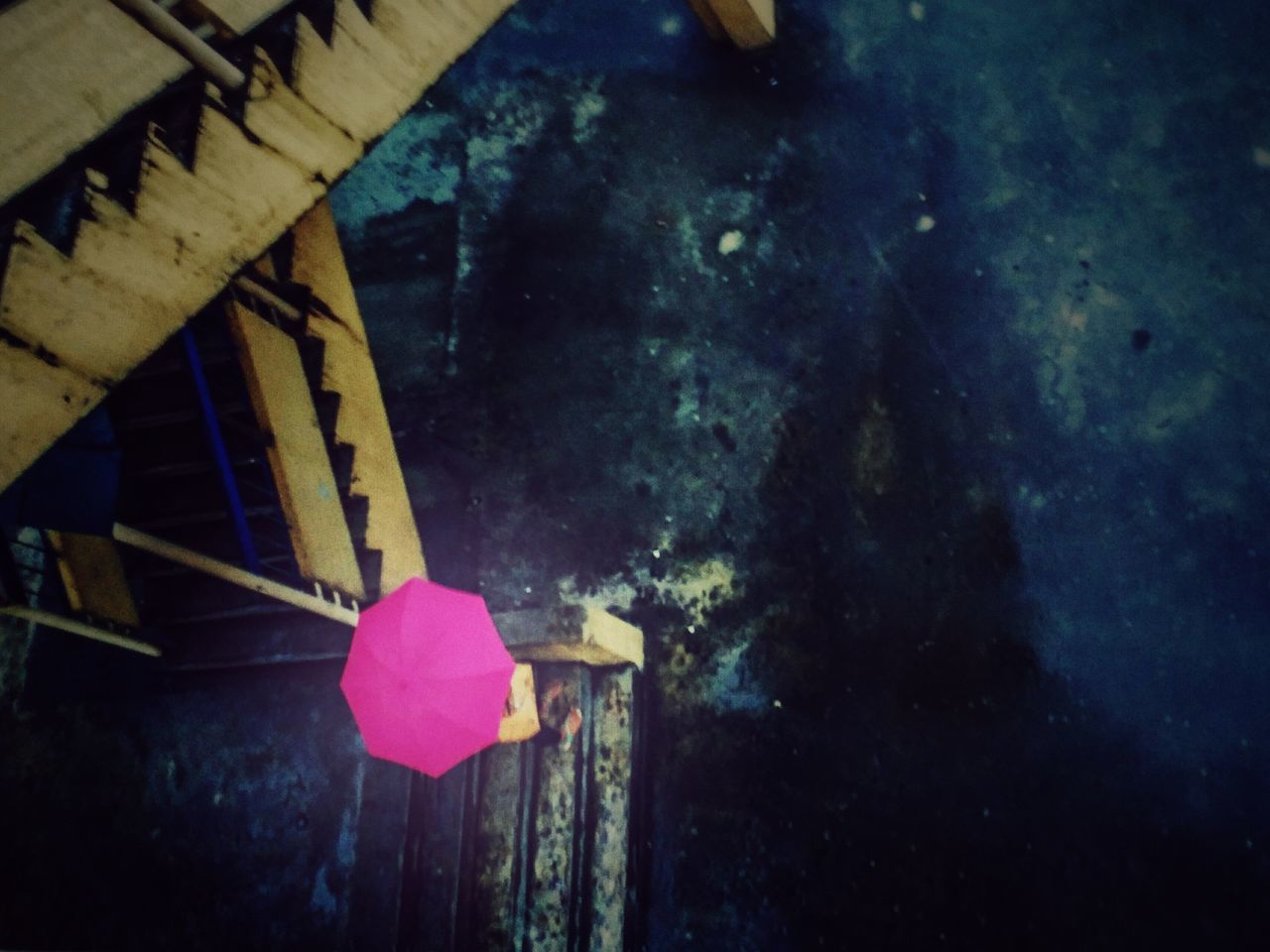 Pink umbrella,