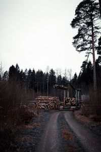 Road amidst trees against sky