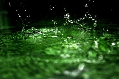 Close-up of water drops on leaf