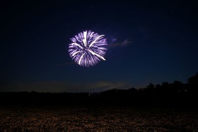Low angle view of fireworks on field against sky at night
