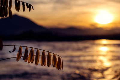 Close-up of sea against sky during sunset