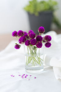 Close-up of pink flowers in vase