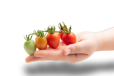 Cropped image of hand holding apple against white background