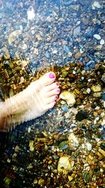 Low section of woman with reflection in water