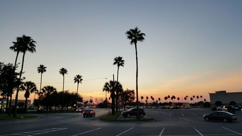 Cars on city street by silhouette coconut palm trees against clear sky during sunset