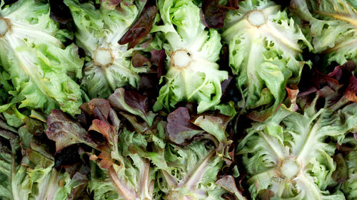 Full frame shot of vegetables