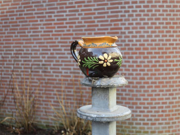 Close-up of potted plant against wall