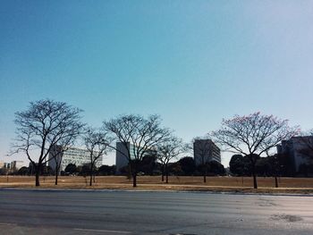 Bare trees against clear sky during winter
