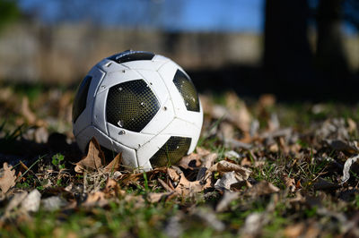 Close-up of ball on field with fall leaves