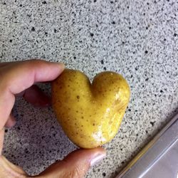 Close-up of hand holding yellow bread