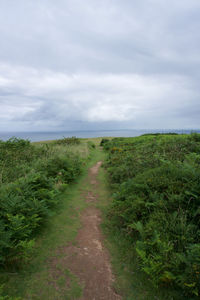 Scenic view of landscape against sky