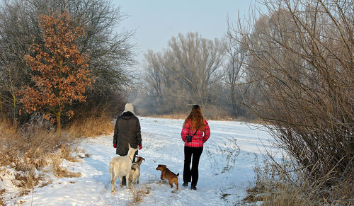 Rear view of people walking with dog and goats on snow amidst bare trees