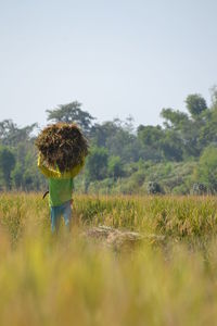 Farmer carrying hay on head at farm against sky