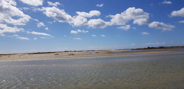 Scenic view of beach against sky