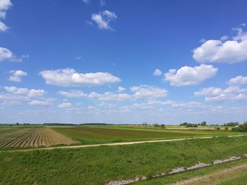 Scenic view of agricultural field against sky