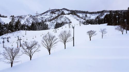 Snow covered land and tree against sky