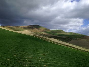 Scenic view of agricultural field against sky