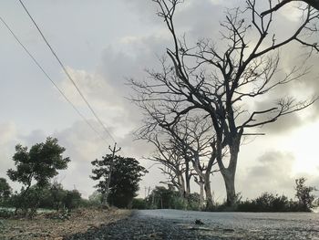 Bare trees on landscape against sky