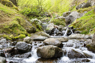 River flowing through rocks in forest