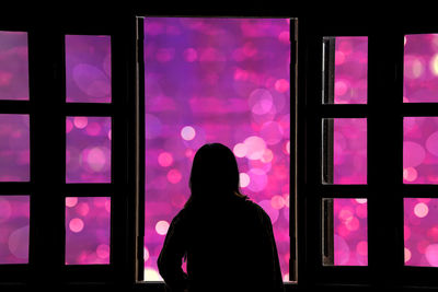 Rear view of silhouette woman looking through window