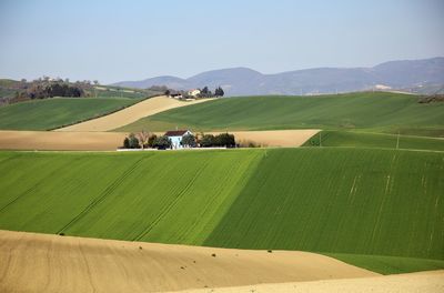 Italian hills