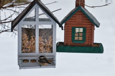 Close-up of birdhouse on building