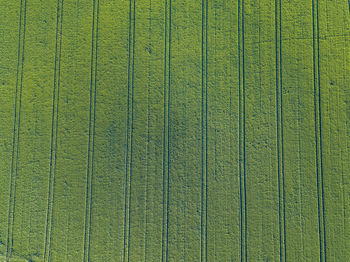 Full frame shot of patterned wall