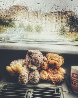 Close-up of glass window