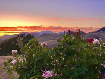 Scenic view of mountains against sky during sunset