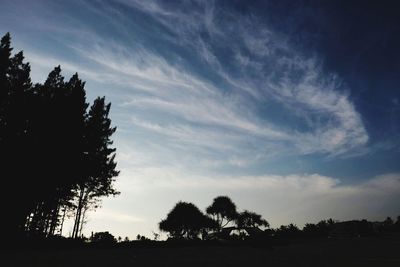 Low angle view of silhouette trees on field against sky