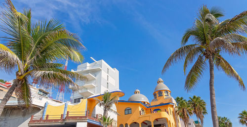 Low angle view of palm trees against blue sky