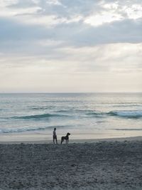 People walking on beach against sky