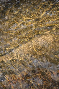 Full frame shot of water in lake