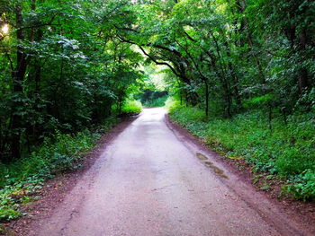 Road passing through trees