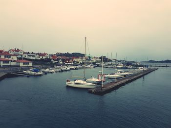 Sailboats moored at harbor against clear sky