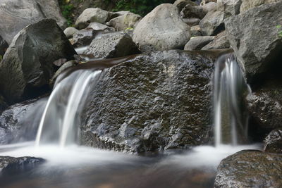 Scenic view of waterfall in forest