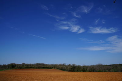 Scenic view of agricultural field against blue sky