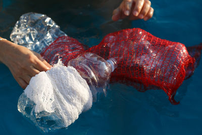 Cropped hand of person holding seashell